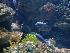 -海合安青岛极地海洋公园