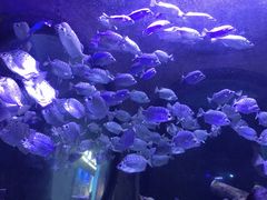 -成都浩海立方海洋公园