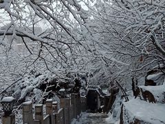 -高尔山公园