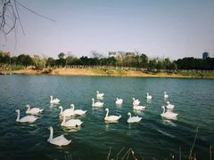 -艾溪湖湿地公园