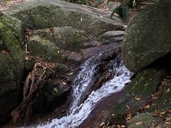 -阳台山森林公园