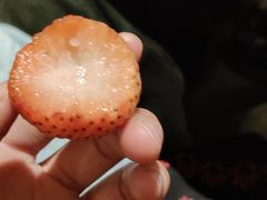 -海底捞火锅(番禺广场店)