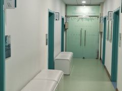 -北京观赏动物医院·24小时大型综合·猫专科·异宠专科