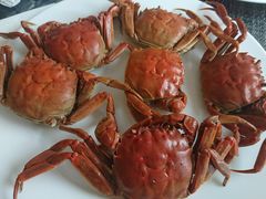 -东方红海鲜百汇(国际大厦店)