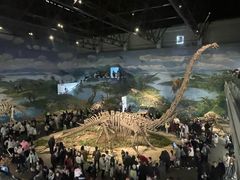 -自贡恐龙博物馆