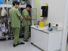 -达爱动物医院·犬猫分区·CT·复杂眼科(远洋山水分院)
