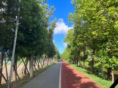 -上海长兴岛郊野公园