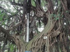 -北部湾广场