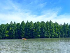 -上海海湾国家森林公园