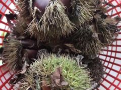 -长圻码头