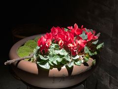 -桂语山房(满觉陇店)