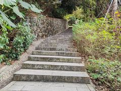 -阳台山森林公园