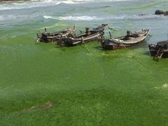 -青岛银沙滩