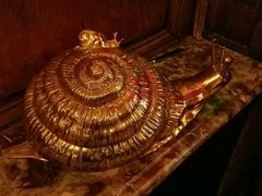 -金蜗牛
