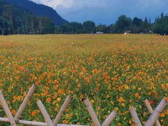 -贵阳市花溪国家城市湿地公园