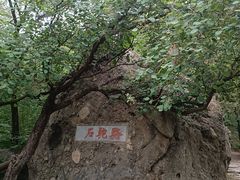 -阳台山自然风景区