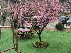 -正宗火盆自助烧烤·烤全羊·柴火鸡(龙泉山店)