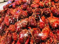 -新发展亚太JW万豪酒店·福苑咖啡厅