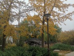 -元大都城垣遗址公园