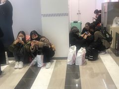 -新罗免税店(首尔总店)