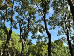 -宝界山林公园