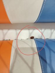 -反弹蹦床公园·运动乐园·团建·亲子派对(深圳观澜湖店)