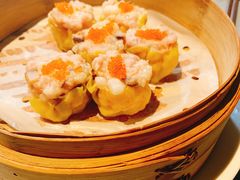香菇黑毛猪烧麦皇-皇朝会.经典传统粤菜(外滩店)