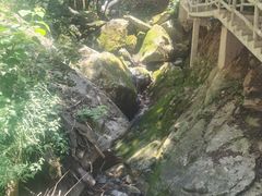 -西安祥峪森林公园