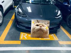 -TESLA 特斯拉(上海太古汇体验店)