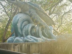 -广东惠东海龟国家级自然保护区