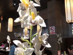 大堂-金枝玉叶上海人家食府(三里河店)