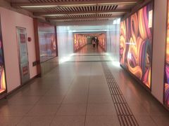 -大望路(地铁站)