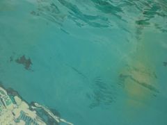 -杭州浪浪浪水公园