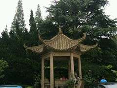 分院绿化带休息处-复旦大学附属华山医院(总院)