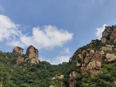 -大岭沟猕猴桃谷风景区