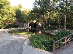 -白水寺森林公园