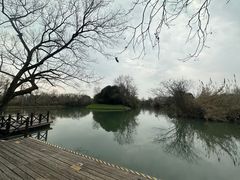 -西溪国家湿地公园