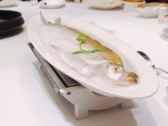 清蒸白水鱼-张福记(陇海中路店)