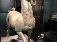 -广西壮族自治区博物馆