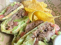 -油梨树AVOCADO TREE(顺义新国展店)