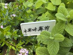 -上海鲜花港