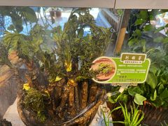 -胖姐渔村(中源大道店)