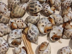 -海儀美食楼(湾仔海鲜街店)