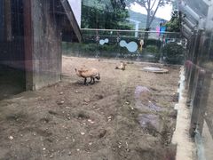-无锡动物园·太湖欢乐园