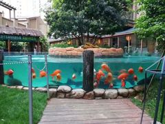 -忆江南·临江鱼馆