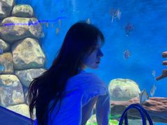 -石家庄海洋公园