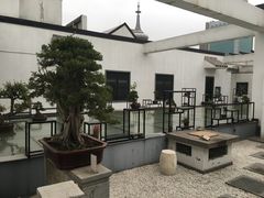 -稍可轩博物馆餐厅