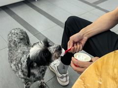 -DQ·蛋糕·冰淇淋(川沙东海岸店)
