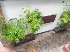 -山壹竹庭院餐厅