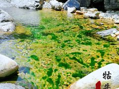 -祁门牯牛降观音堂风景区